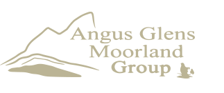 angus glens moorland group