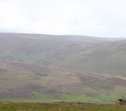 IMG 0284 2