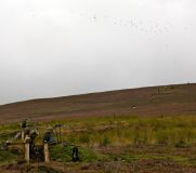 IMG 8457