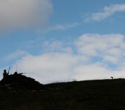 IMG 8499 2
